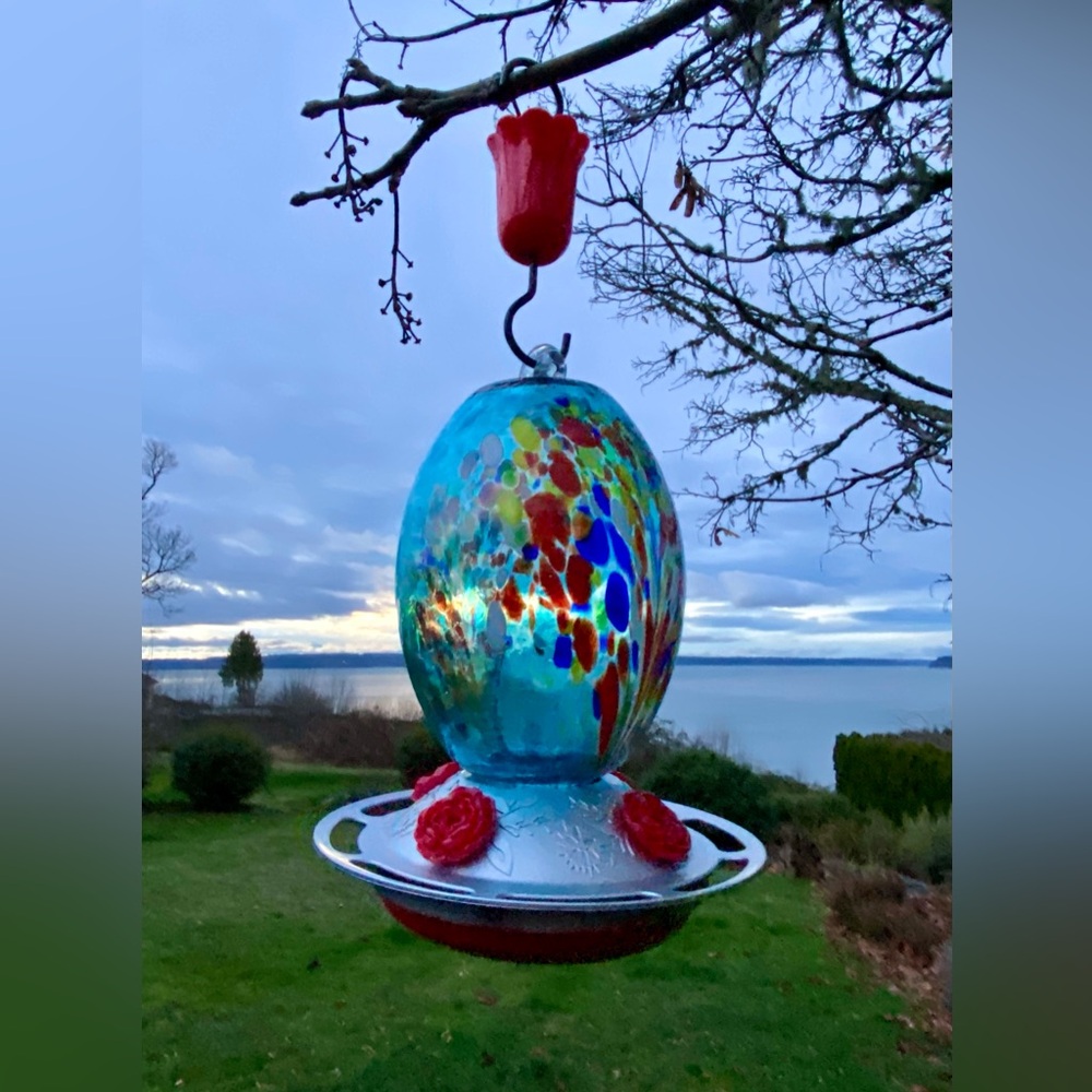 Glass Hummingbird Feeder 27oz Blown Glass Humming Bird - Roses & Ant Moat - Picture 3 of 13